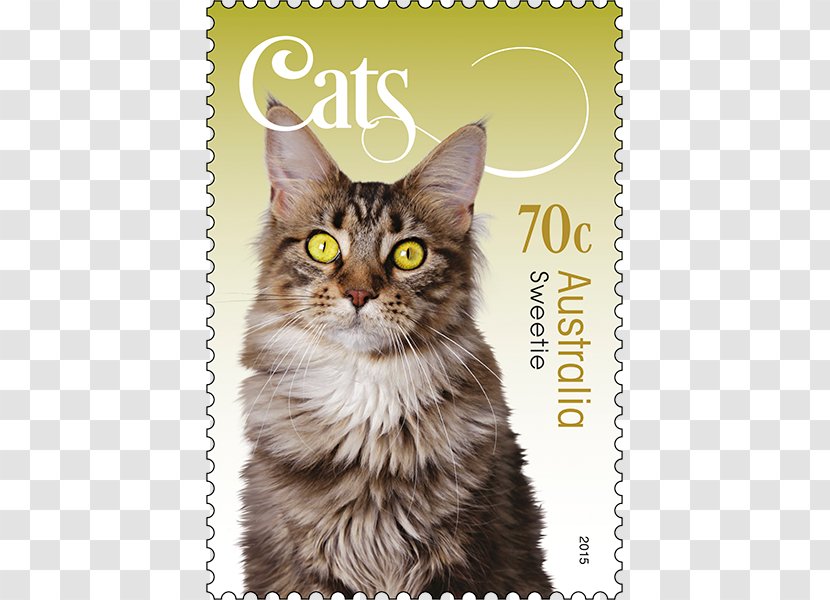 Maine Coon Whiskers Tabby Cat Postage Stamps Mail - Wanted Transparent PNG
