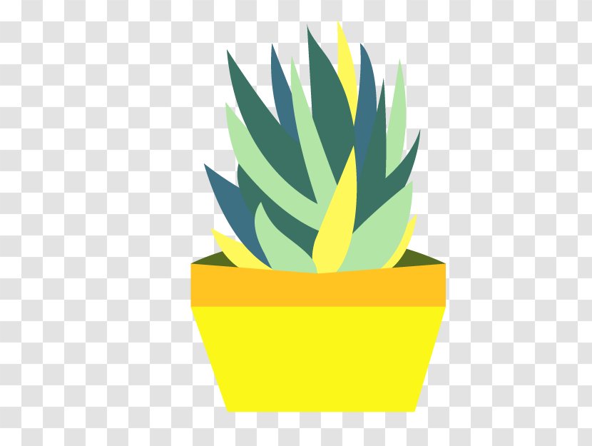 Cactaceae Prickly Pear Euclidean Vector - Flowerpot - Cactus Transparent PNG