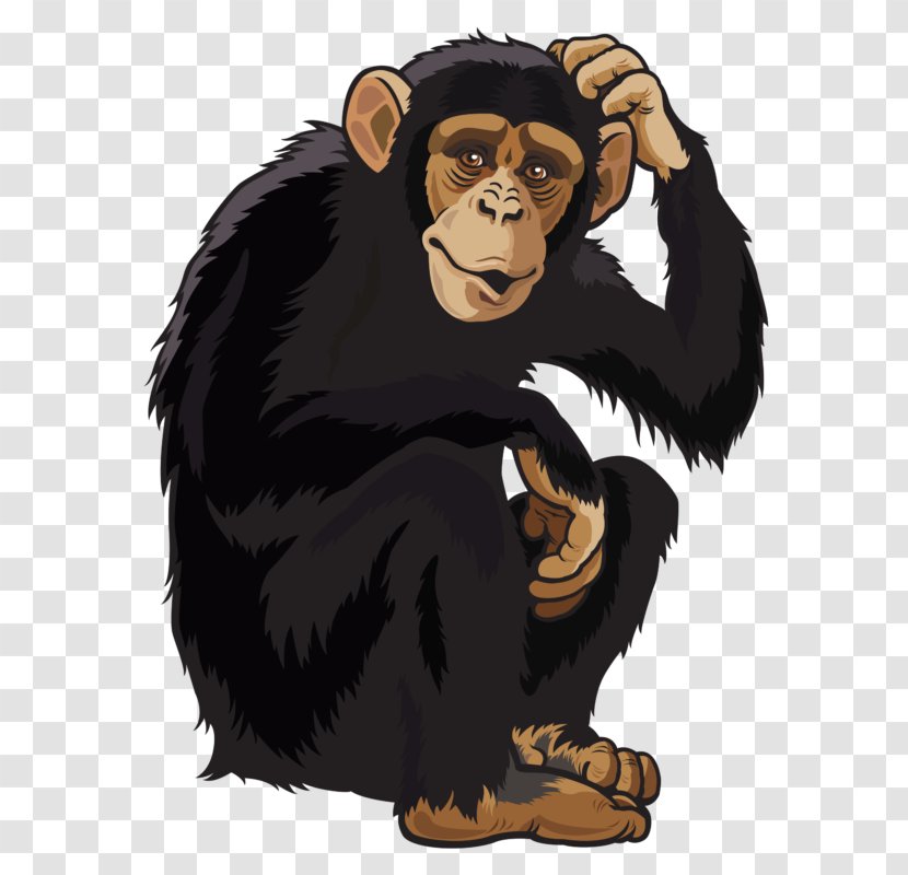 Orangutan Monkey Clip Art - Primate Transparent PNG