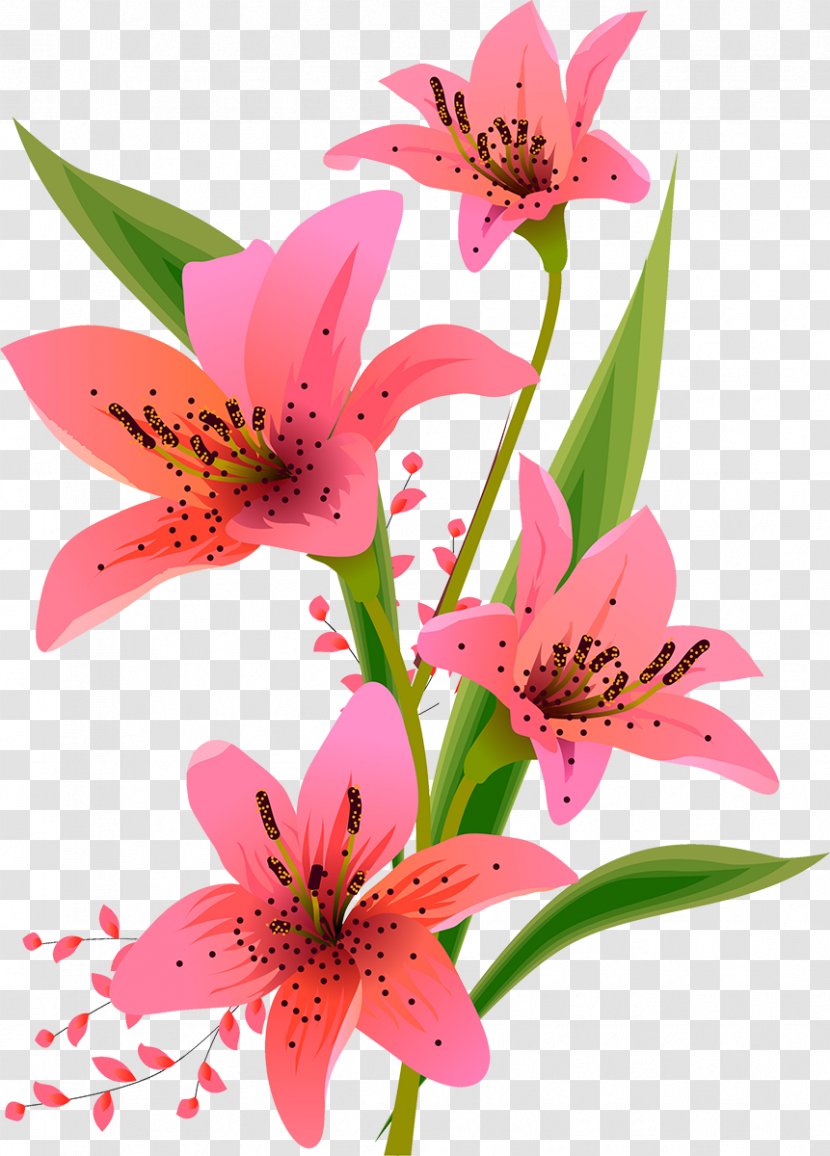 Lilium Floral Design - Royaltyfree Transparent PNG