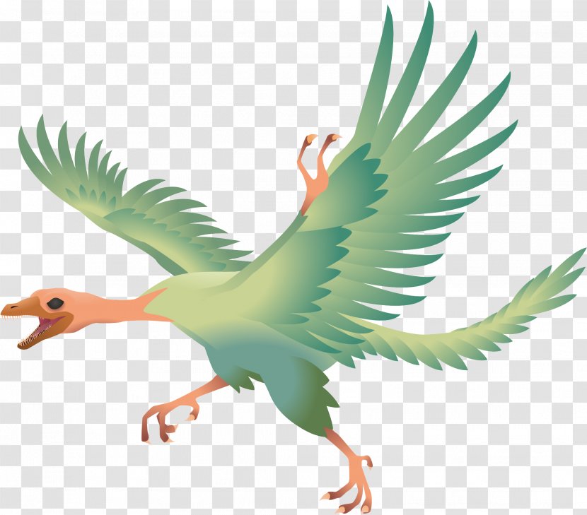 Archaeopteryx Bird Compsognathus Jeholornis Dinosaur - Deviantart - Professional Vector Transparent PNG