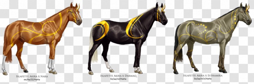 Mustang Stallion Foal Colt Mare - Horse Like Mammal - Spirit Transparent PNG