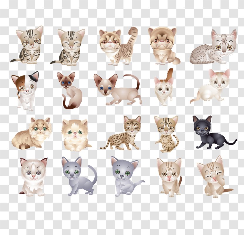 Cat Kitten Icon - Small To Medium Sized Cats - Vector Transparent PNG