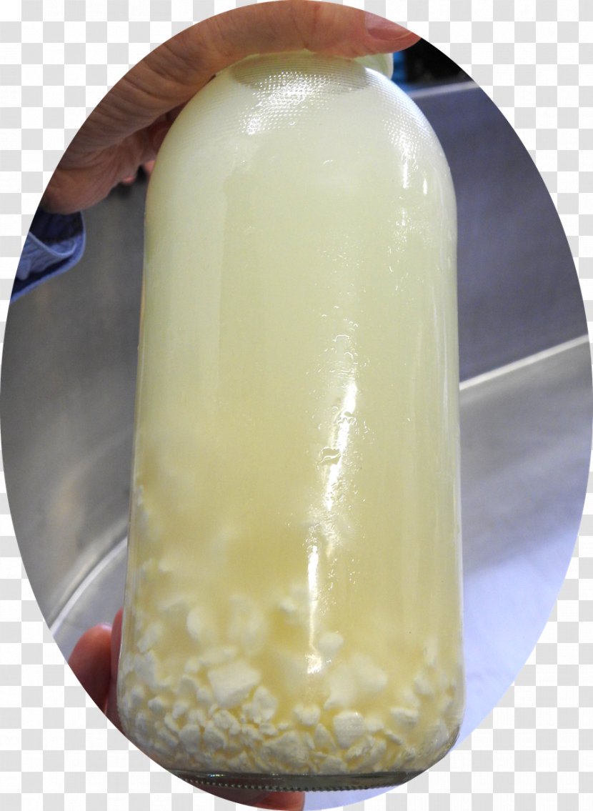 Milk Whey Curd Cheese Yoghurt - Tableware Transparent PNG