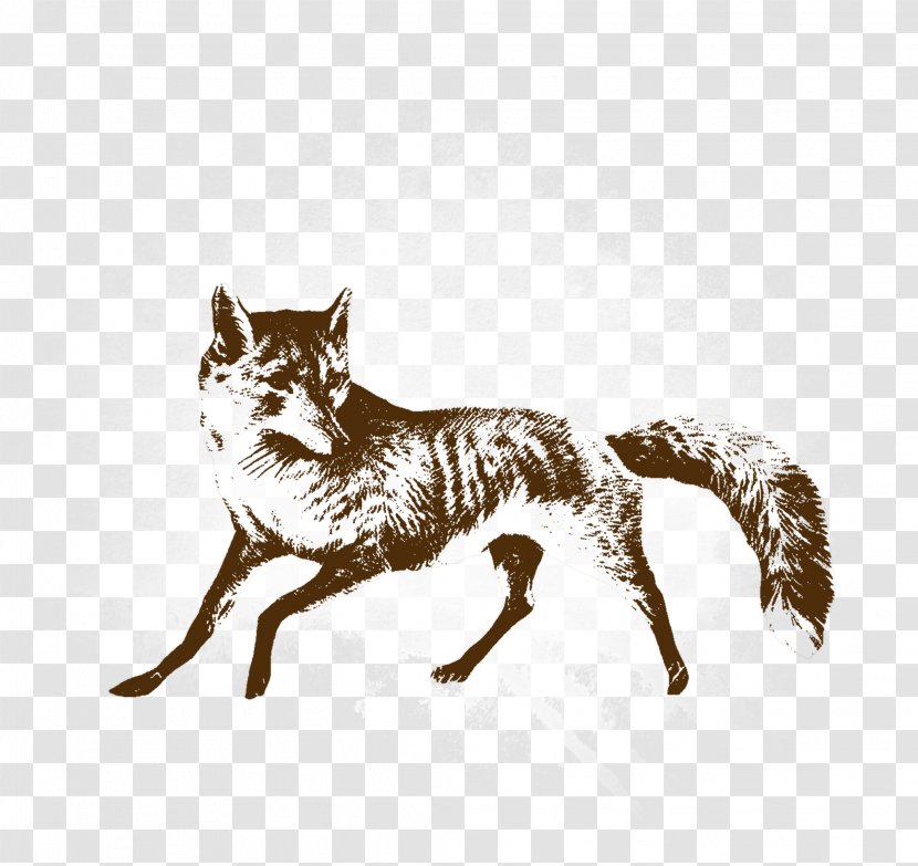 Cartoon Fox - Cat Like Mammal Transparent PNG