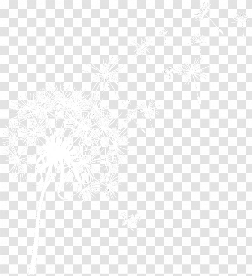 White Monochrome Line Sky Plc Font - Black And - Dandelion Logo Transparent PNG
