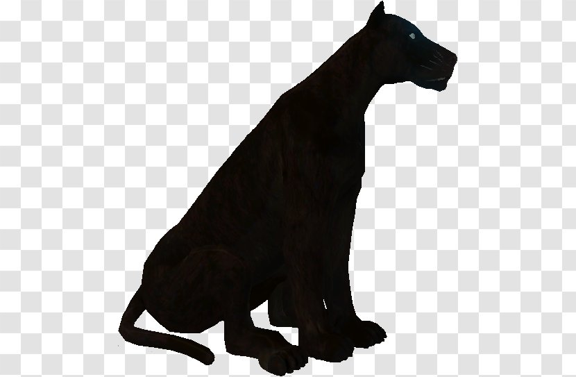 Cat Dog Canidae Terrestrial Animal Puma - Tail Transparent PNG