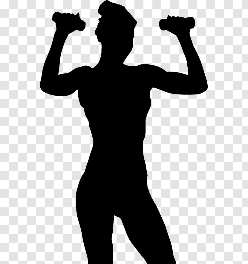 Weight Training Olympic Weightlifting Dumbbell Physical Exercise Silhouette - Female Fitness Transparent PNG