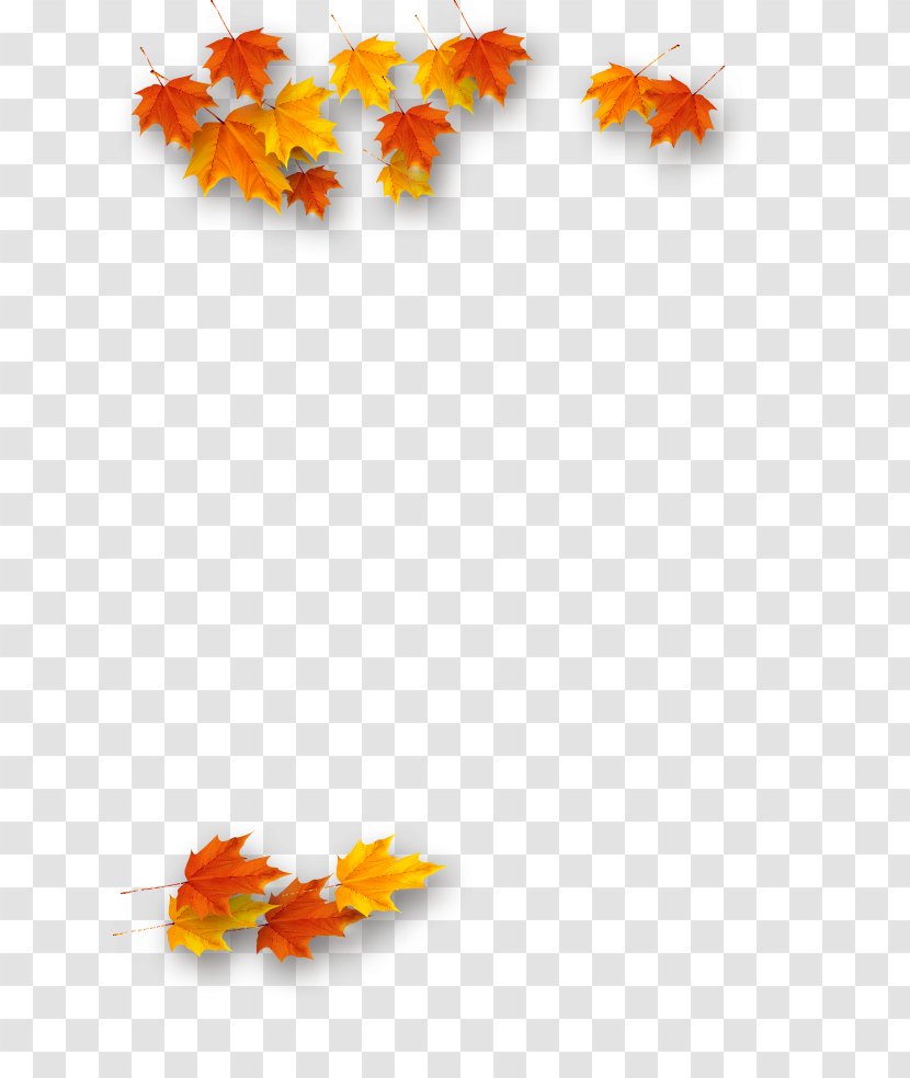 Maple Leaf Autumn Petal Deciduous - Orange Transparent PNG