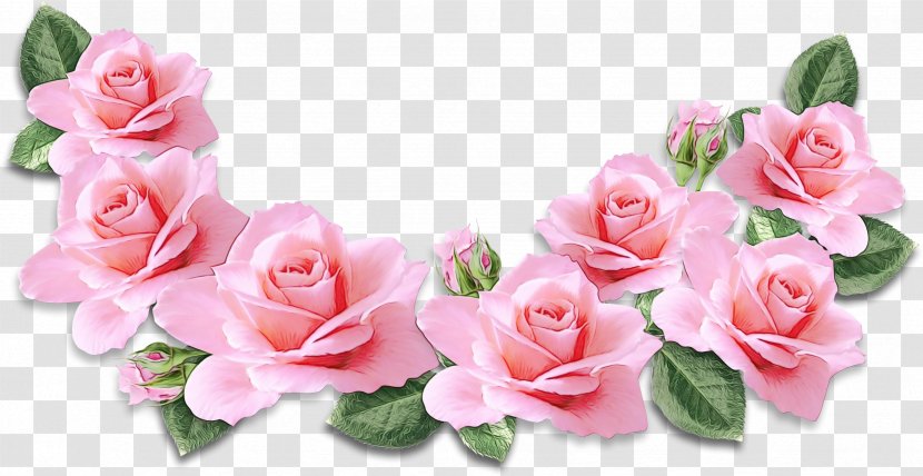 Garden Roses Cut Flowers Floral Design - Floribunda - Hybrid Tea Rose Transparent PNG