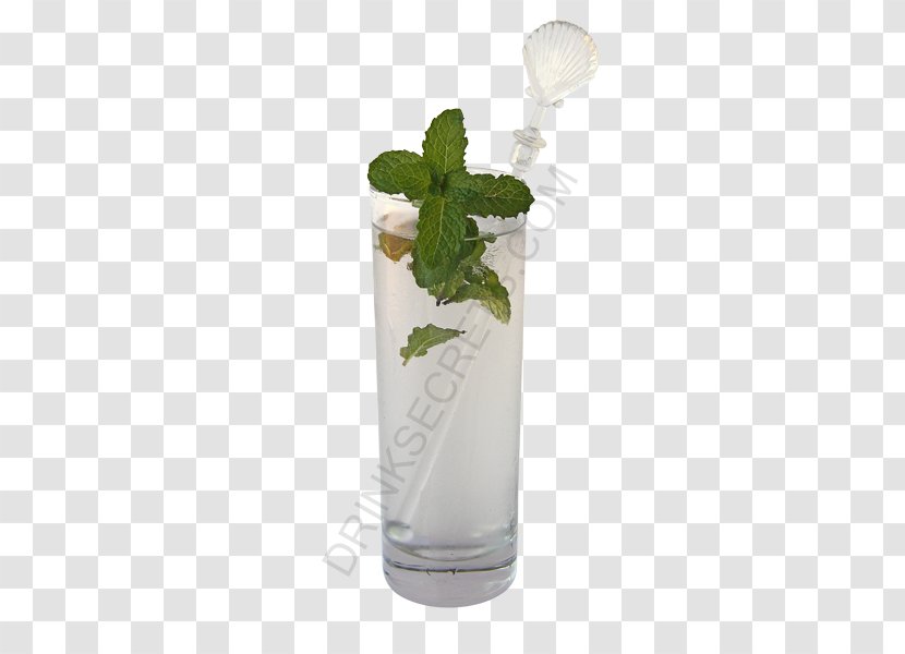 Mojito Mint Julep Cocktail Garnish Non-alcoholic Drink Transparent PNG