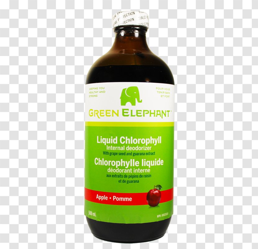 Liquid Chlorophyll Green Blood - Quality Transparent PNG