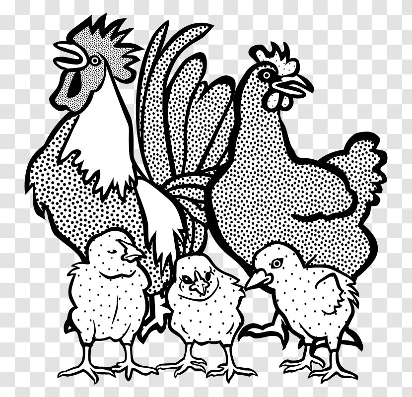 Chicken Drawing Line Art Rooster Clip Transparent PNG