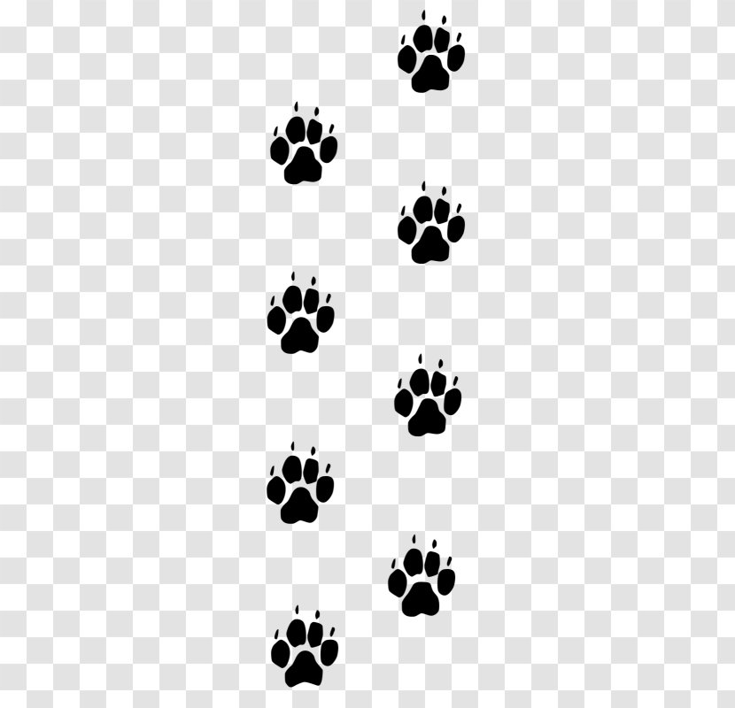 Paw Dog Cat Footprint Fox - Black Transparent PNG