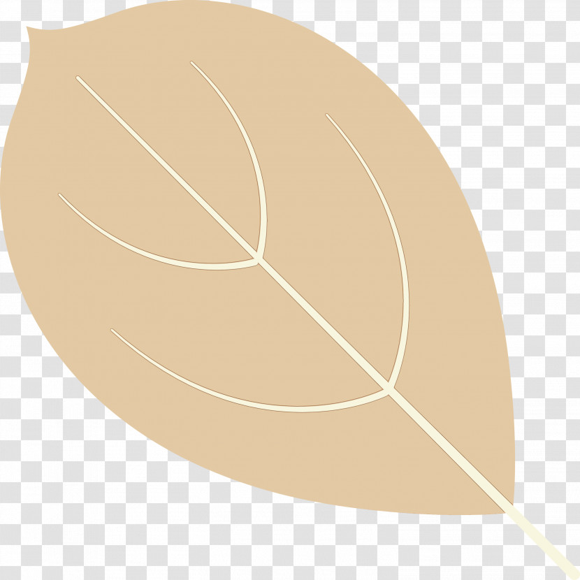 Leaf Angle Line Biology Plant Structure Transparent PNG