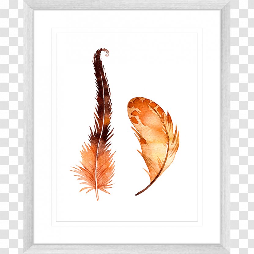 Picture Frames Feather Printing Color - Frame Transparent PNG