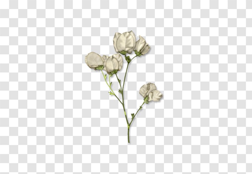 White TinyPic Clip Art - Plant - Rose Transparent PNG