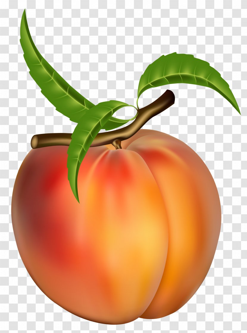 Peach Fruit Apricot Clip Art - Diet Food - Transparent Clipart Picture Transparent PNG