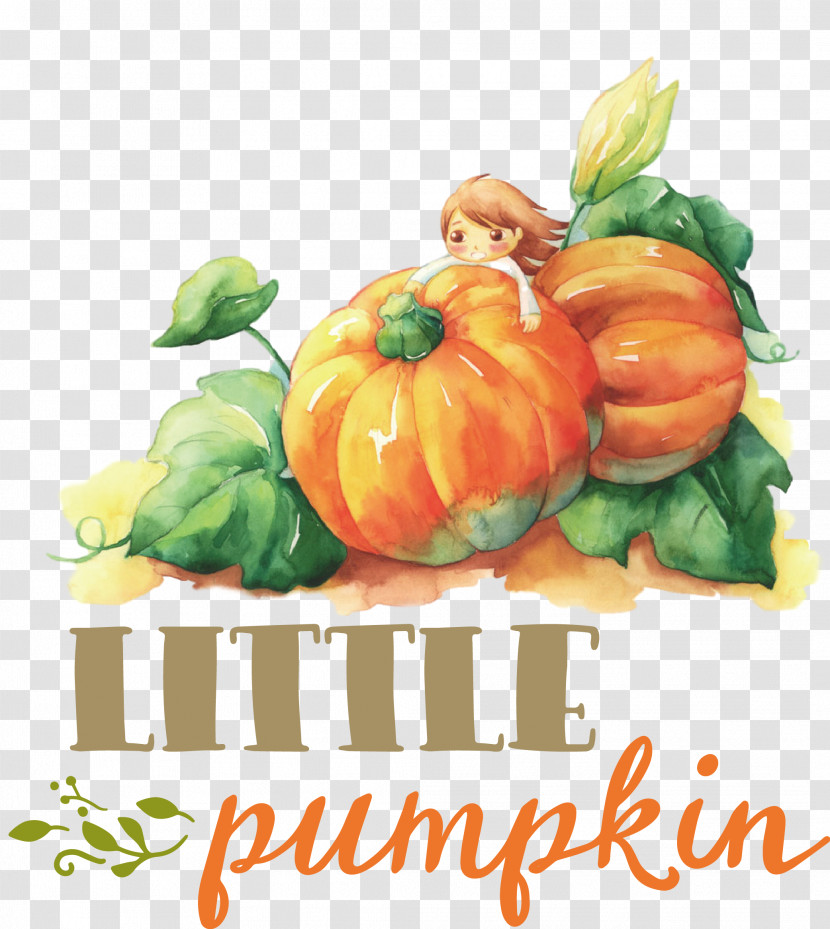 Little Pumpkin Thanksgiving Autumn Transparent PNG