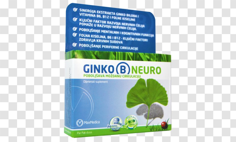 Ginkgo Biloba Dietary Supplement Neurology Headache Vitamin B-12 - Tree - Ginko Transparent PNG