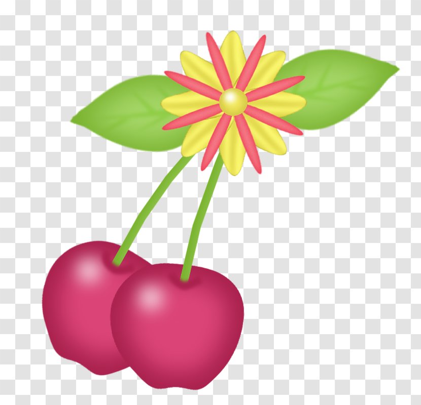 Cherry Pink Illustration - Floral Design Transparent PNG