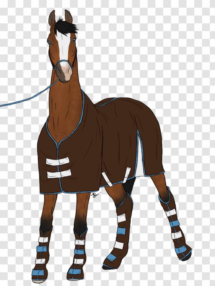 Mustang Rein Horse Harnesses Pony Bridle - Mane Transparent PNG