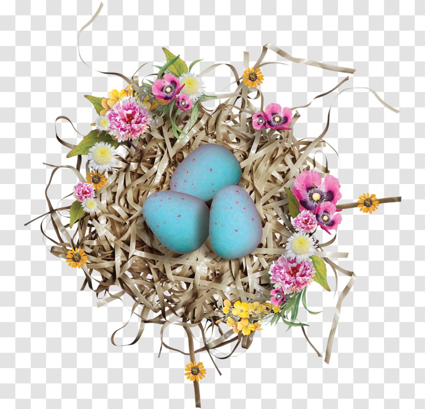 Bird Nest Birds And People Duck Egg Transparent PNG