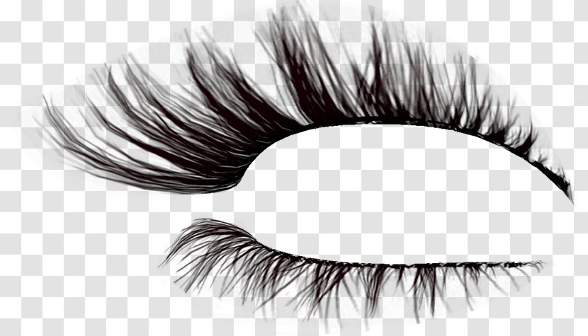 Eyelash Brush Drawing Transparent PNG