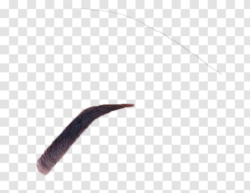 Worm Eyebrow Transparent PNG