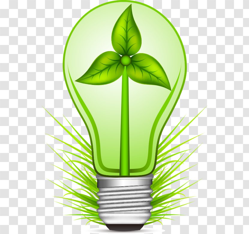 Environmental Protection Drawing Adobe Illustrator - Light Bulb Transparent PNG
