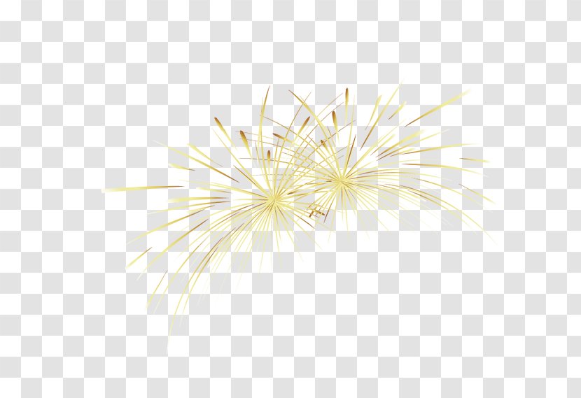 Yellow Gold Fireworks Transparent PNG