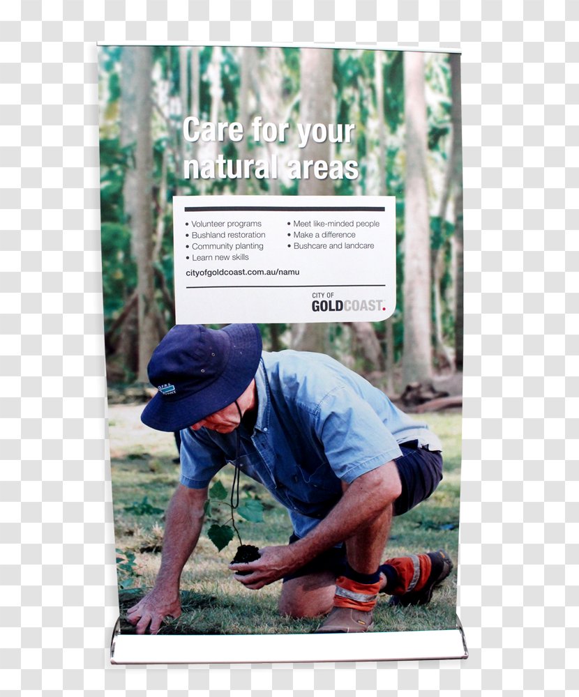 Human Behavior Tree Advertising Recreation - Promo Banner Transparent PNG