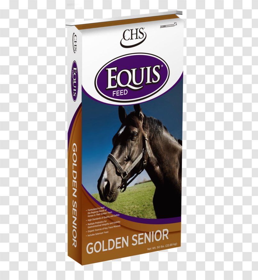 Mustang Equine Nutrition Fodder Food Hay - Snout - Welcome Summer Transparent PNG