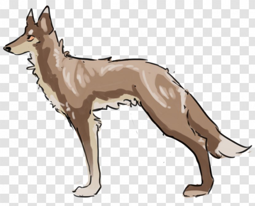 Saarloos Wolfdog Czechoslovakian Dingo Dog Breed Jackal - Prechristian Slavic Writing Transparent PNG