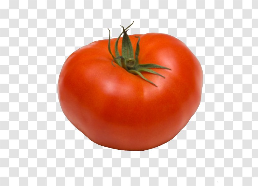 Plum Tomato Bush Vegetarian Cuisine Food Transparent PNG