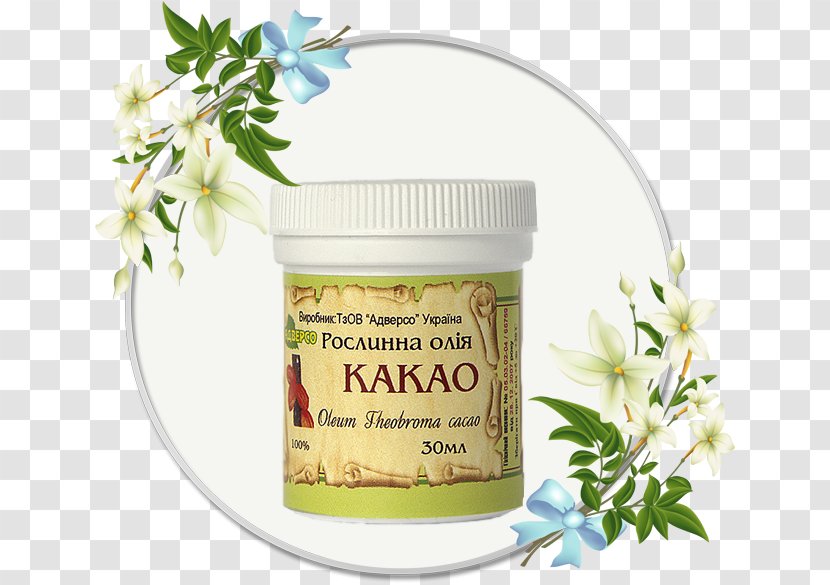 Essential Oil Macadamia Cosmetics Olive - Cacao Theobroma Transparent PNG