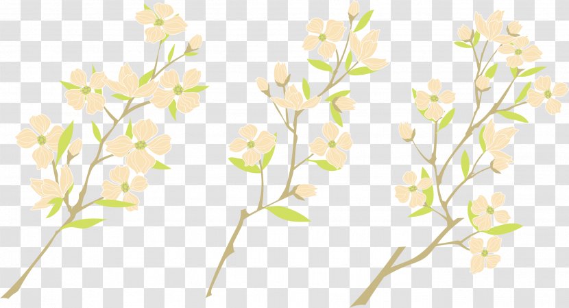 Watercolor Painting Plum Blossom - Flower Transparent PNG