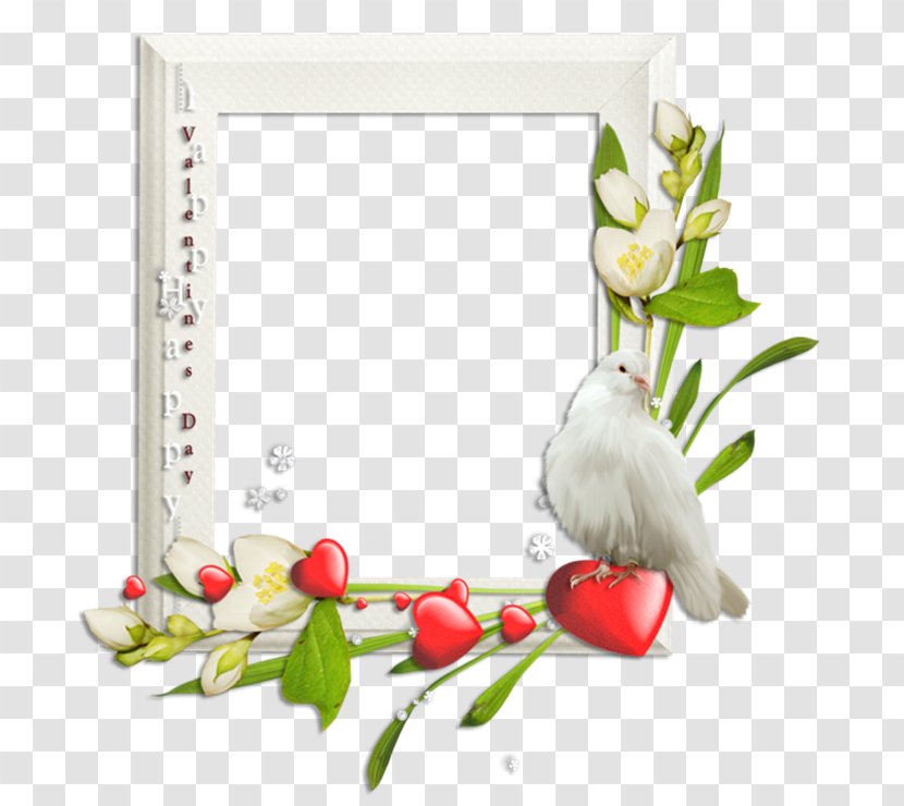Floral Design Cut Flowers Picture Frames Transparent PNG