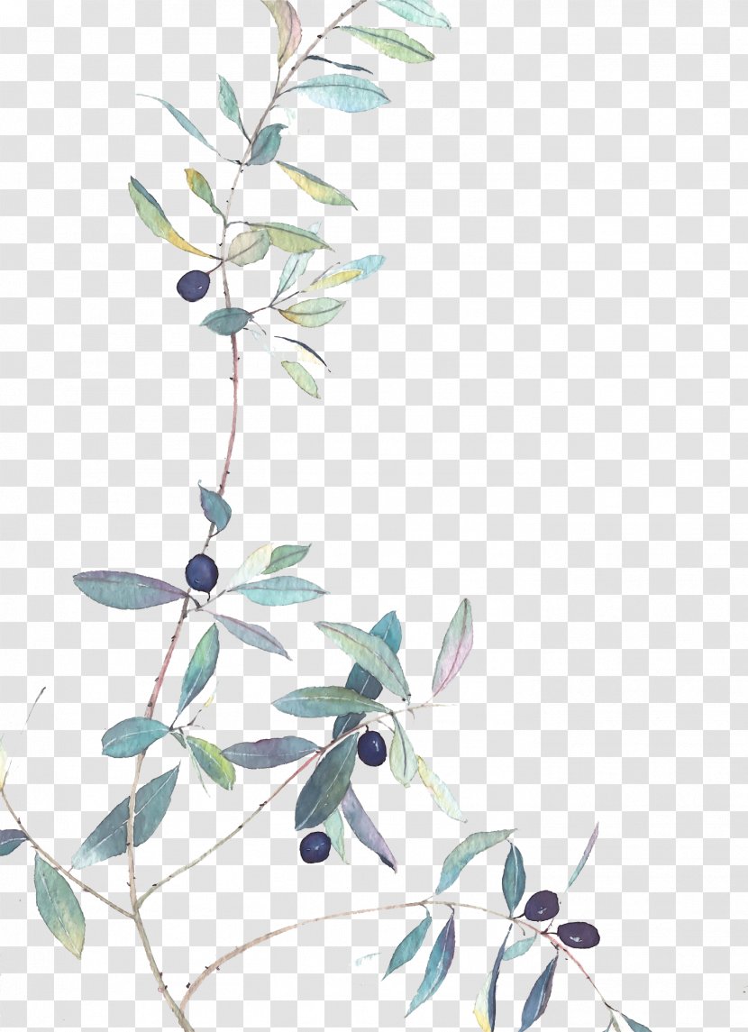 Cocktail Taobao JD.com Blueberry Book - Hand-painted Branches Transparent PNG