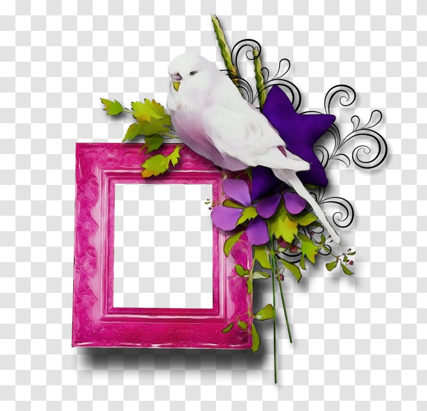 Picture Frame - Branch - Flower Rectangle Transparent PNG