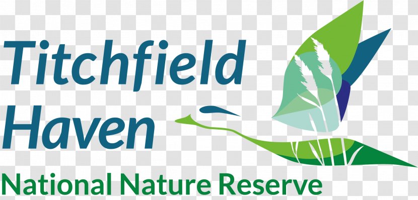 Titchfield Haven National Nature Reserve Fareham Training - Leaf - Hampshire Transparent PNG