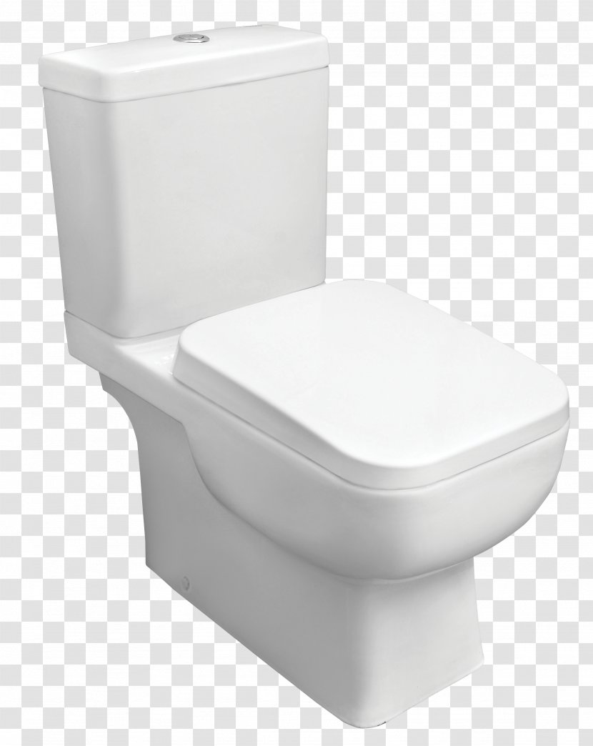 Toilet & Bidet Seats Flush Squat - Roca Transparent PNG