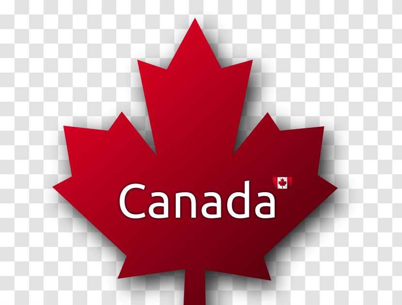 Maple Leaf Immigration To Canada - Tree - Miss Wrong Whole Transparent PNG