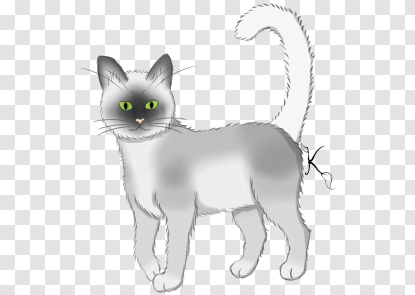 Balinese Cat Manx Korat American Wirehair Nebelung - Domestic Short Haired - Kitten Transparent PNG