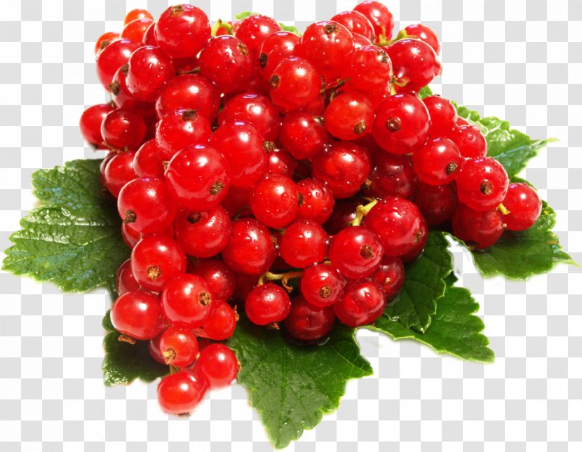 Juice Redcurrant Blackcurrant Gooseberry Fruit - Pink Peppercorn - Berries Transparent PNG