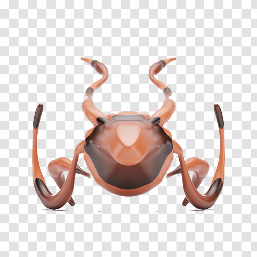 Volkswagen Beetle New - Decapoda - Brown Transparent PNG