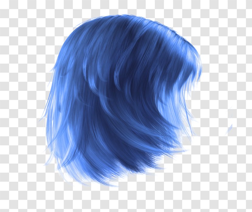 Wig PhotoScape GIMP - Hair Coloring - Lucas Transparent PNG