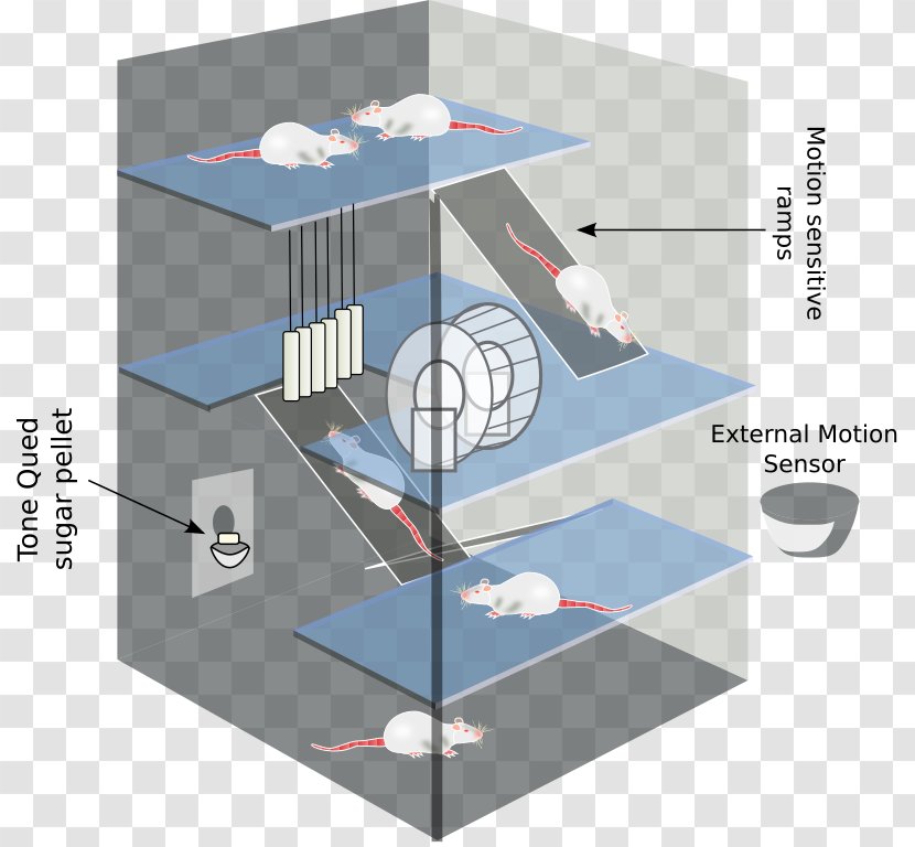 Environmental Enrichment Diagram Computer Clip Art - Furniture - Infograph Transparent PNG