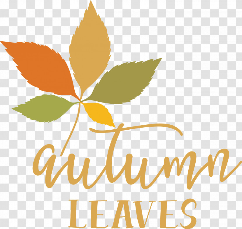 Autumn Leaves Autumn Fall Transparent PNG