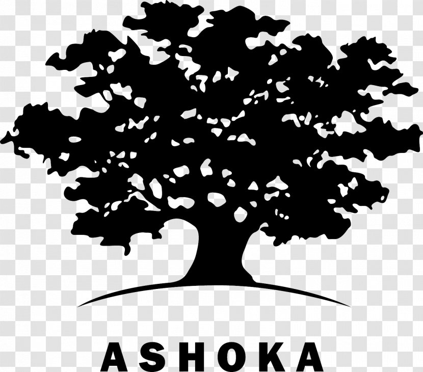 Ashoka: Innovators For The Public Innovation Organization Entrepreneurship - Business Transparent PNG
